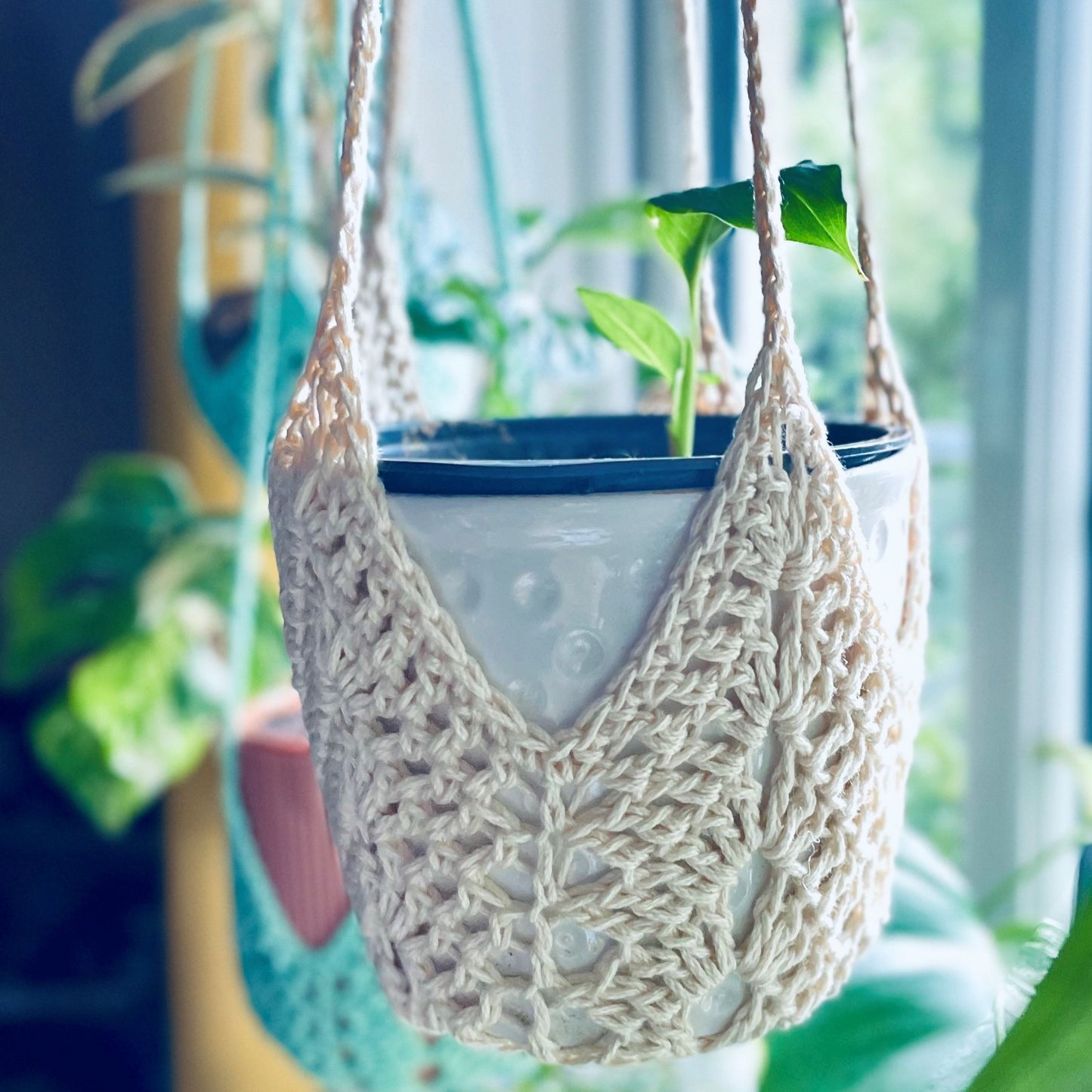 Crochet Plant Hangers