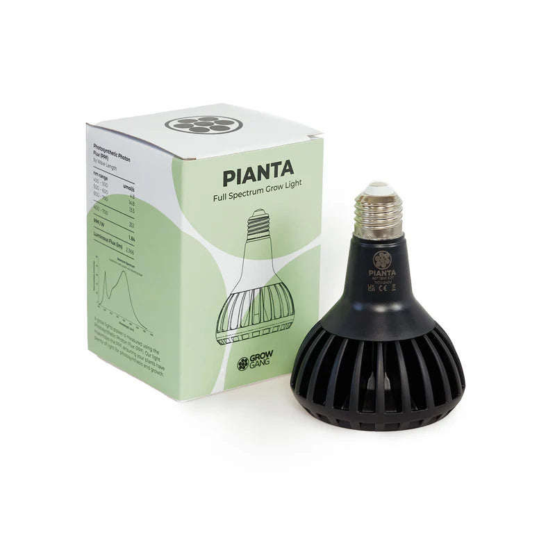 Grow bulb for house plants. Grow gang bulb in black with box. UV bulb plants.