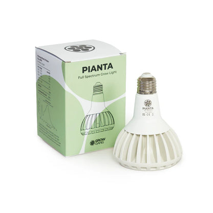 Grow bulb for house plants. Grow gang bulb in white with box.